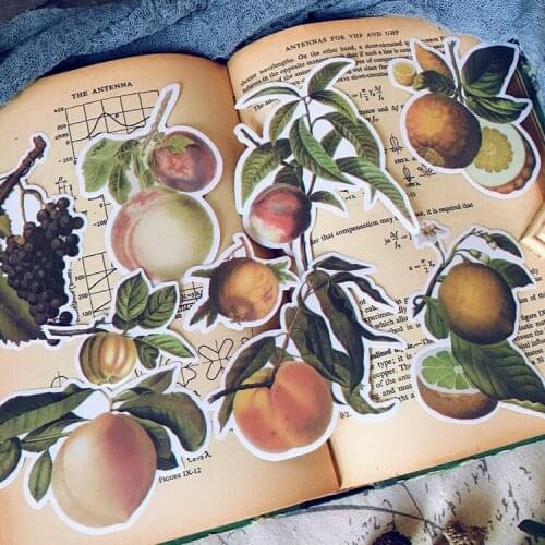 KLJUYP 9pcs Fruit Vellum Stickers Colorful Cardstock Die Cuts for Scrapbooking Happy Planner/Card Making/Journaling Project
