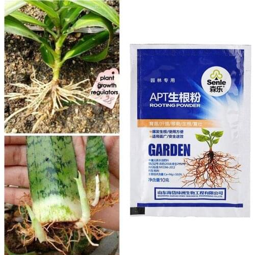 10g Rooting Agent Garden Flower Plant Seedling Transplanting Bonsai Germination Growth Fertilizer Recovery Root Vigor Aid A0N2