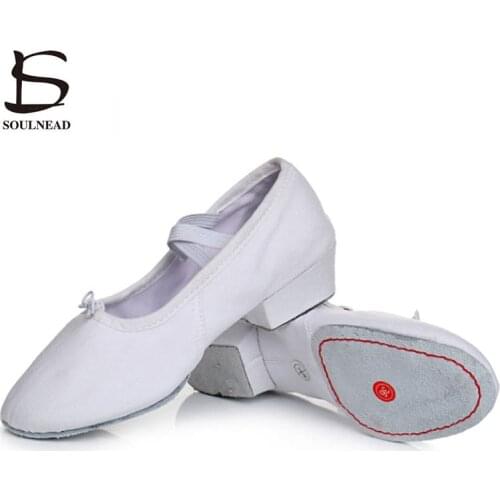 Womans Jazz Dance Shoes Girls Ballet Dance Shoes Low Heel 4cm Size 34-41 Practice Latin Salsa Dancing Shoes For Women