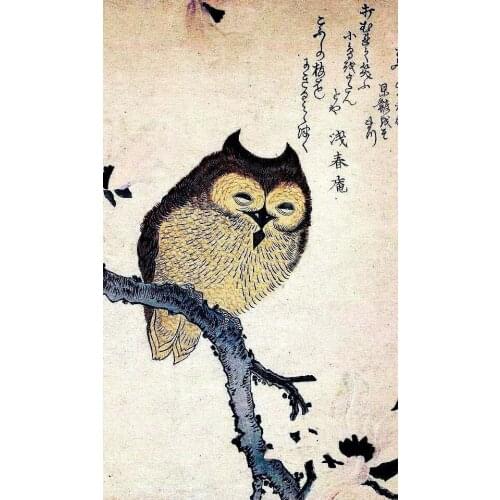 Vintage Asian Japanese Chinese Owl Art Film Print Silk Poster Home Wall Decor 24x36inch