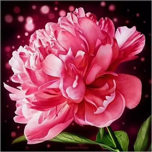 Embroidery Counted Cross Stitch Kits Needlework - Crafts 14 ct DMC Color DIY Arts Handmade Home Decor - Blooming Peony