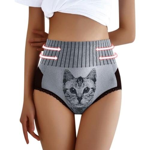 WENYUJH High Waist Panties Girls Plus Size Underwear Cute Lace Panties Womens Underwear Cat Print Brief Hip Lift Underpanties