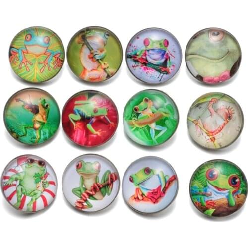 12pcs/Lot Tree Frog Pattern Glass Charm 18mm Snap Button Jewelry For 18mm Snaps Bracelet Snap Jewelry KZ0476