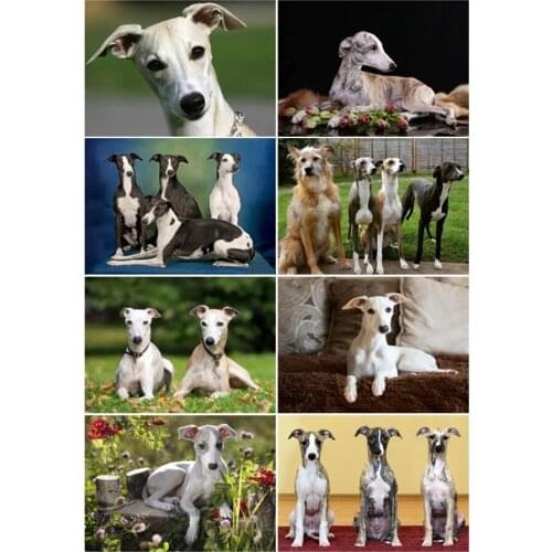 Yumeart Diamond Art Whippet Dogs Painting Wall Decor Full Drill Square Embroidery Cute Pet Dogs Cross Stitch Animal Series Gifts