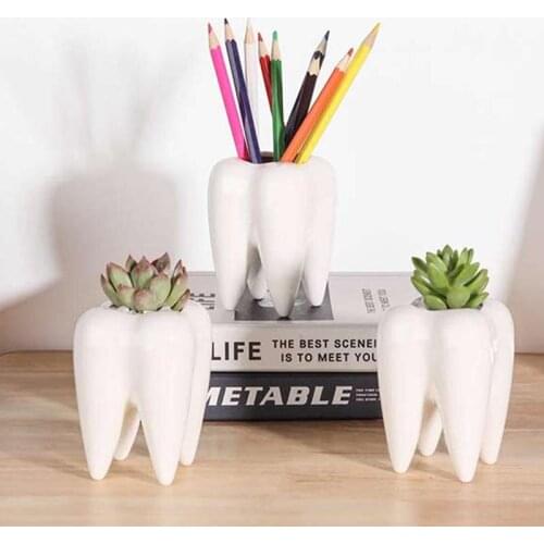 Ceramic Tooth Shape White Flower Pot Succulents Pots Bonsai Planter Pencil Holder Home Office Decor Cactus Mini Flower Vase