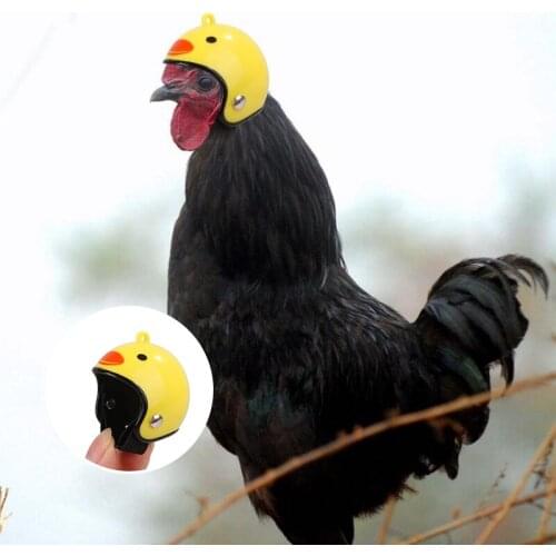 1PC Chicken Helmet Cap Protective Gear Sun Rain Protection Toy Bird Hens Duck Quail Hat Headgear Small Pet Supplies Accessories