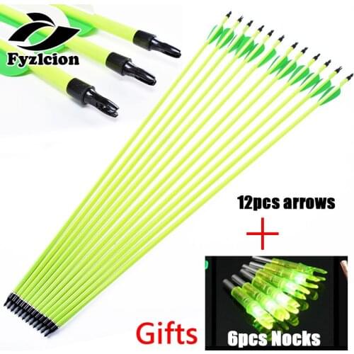 12pcs Hunting Compound Bow Archery 30 inch Spine 500 Carbon Arrow Bolts+ 6pcs ID6.2mm LED Lighted Archery Arrow Nock