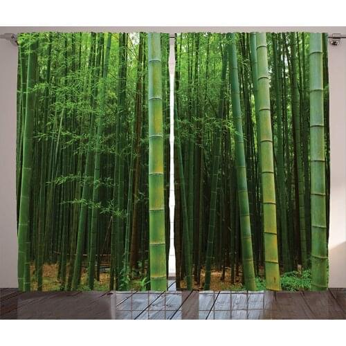 Bamboo Curtains A Bamboo Forest Exotic Fresh Jungle Vision with Tall Shoots Tropic Wonderland Living Room Bedroom Decor