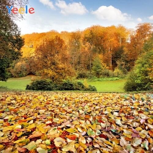 Autumn Forest Tree Fallen Leaves Nature Scene Backdrop Newborn Baby Birthday Photography Background For Photo Studio Photophone
