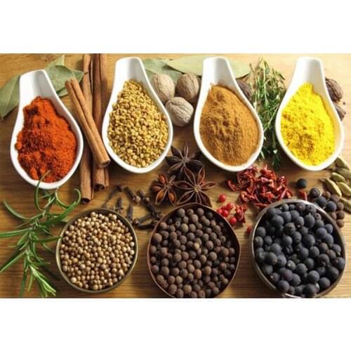 Full drill square Round Diy Diamond Painting kitchen decor Diamond Embroidery Vegetables spices 5d Rhinestones mosaic kit TY911