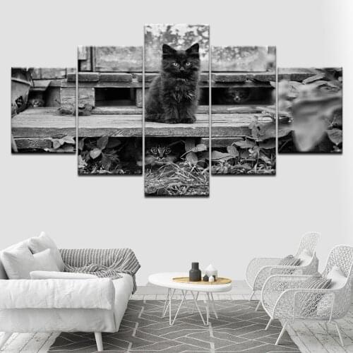 Cats Kittens animal 5 Piece HD Wallpapers Art Canvas Print modern Poster Modular art painting for Living Room Home Decor