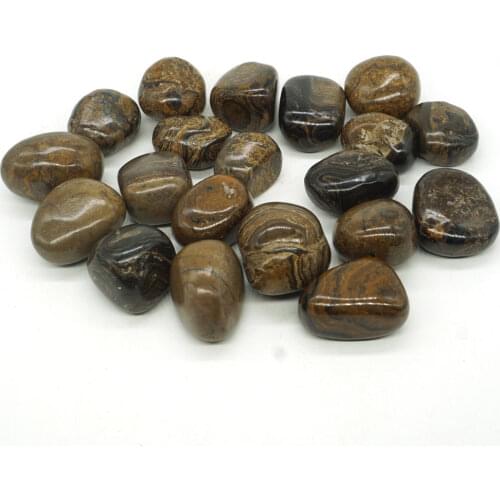 Natural Stromatolite Fossil Tumbled Stone Gemstone Rock Mineral Crystal Healing Chakra Meditation Feng Shui Decor Collection