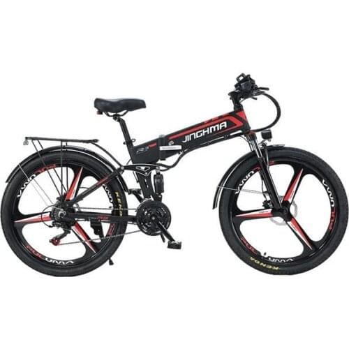 R3 Electric Mountain Bike Two Wheels Electric Bicycles 800W 48V LG Battery 12.8AH 45KM/H Powerful Folding Electric Bicycle