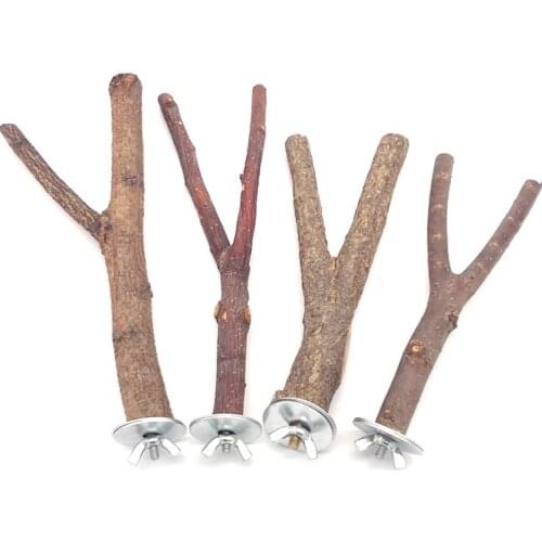 Natural Wood Pet Parrot Raw Wood Fork Tree Branch Stand Rack Squirrel Bird Hamster Branch Perches Chew Bite Toys Stick
