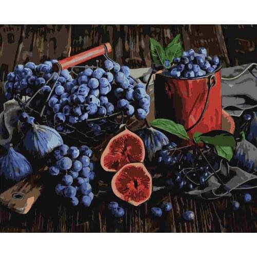 Olieverfschilderij Van Nummers Bloem Op Canvas Set Decor Voor Color Painting By Number Handgeschilderd Gift 40X50cmMulticolor