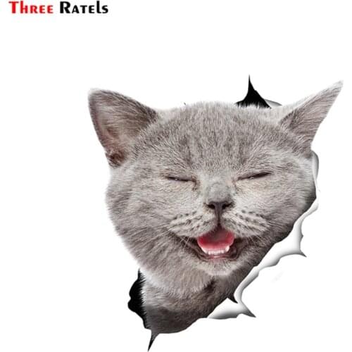Three Ratels FTC-1047 3D Cat Stickers Laughing Grey Cat Sticke For car Luggage Skateboard Motorcycle Laptop Waterp