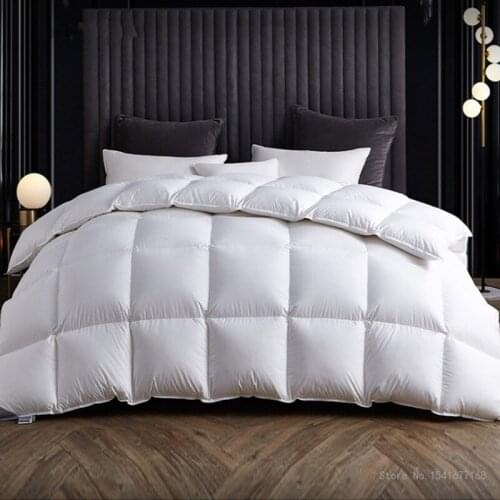 CHINA WANGYIRUO winter warm quilts duvet insert blanket filler 220*240 heavy goose down comforter king queen Twin Size