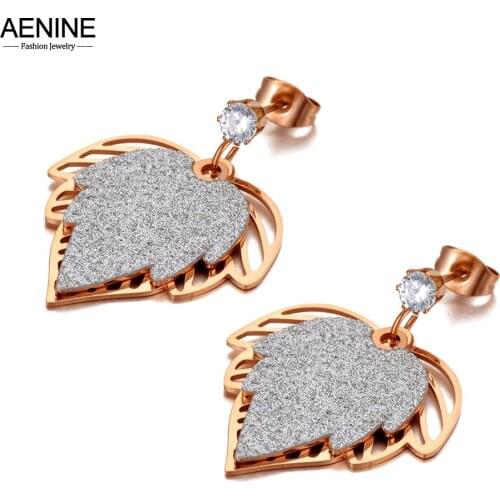 AENINE Fashion 316L Stainless Steel Silver Frosted Leaves Stud Earrings Bohemia CZ Crystal Plant Jewelry For Women AE20136