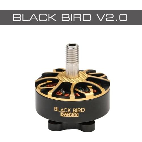 NEW T-Motor Black Bird V2.0 2207 2800/1950KV 4S/6S FPV Motor for RC FPV Racing Freestyle Long Range 5inch Drone FPV Drone