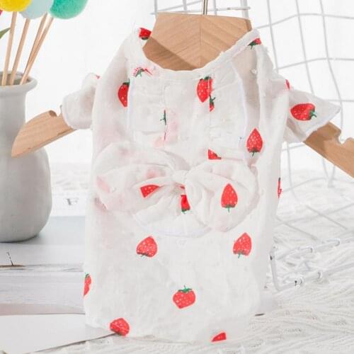 Dog Dresses Skirt Summer Strawberry Printing Bow-knot Decor Fabric Two-legged Dog Dress for Pet Summer 2021 강아지 옷 XS-2XL