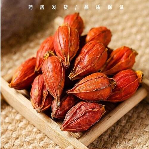 Cape Jasmine Fruit (Zhi Zi)Gardenia Jasminoides Ellis,Free shipping