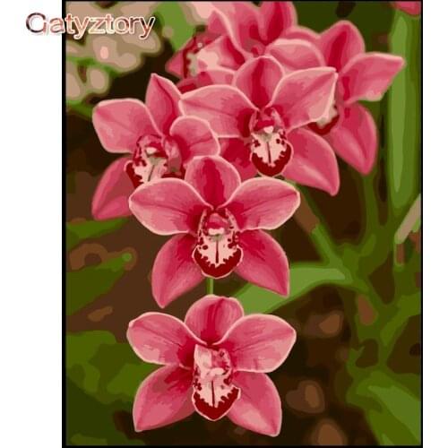 GATYZTORY Red Flower Painting By Numbers For Adults Acrylic Pigment Coloring On Canvas Hand Painted Home Decor Unique Gift