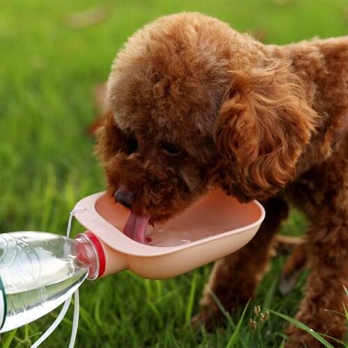 Pet Supplies Pet Travel Waterer Outdoor Dog Drinking Bowl Easy To Match With Mineral Water Feeder Bottle Dog Bowl