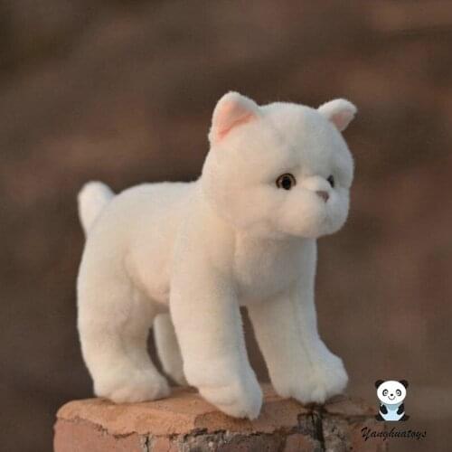 Soft toys children birthday gifts Real life plush British shorthair cat model dolls present toy girlfriend