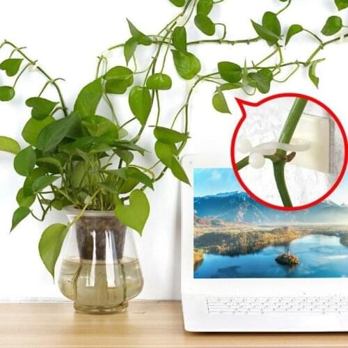 50Pcs Wall Rattan Clamp Clip Invisible Wall Vine Climbing Sticky Hook Rattan Fixed Clip Bracket Plant Supports Self-Adhesive