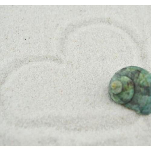 Hot Sale White Natural Sea Sand Fish Tank Aquarium Decoration Moss Micro fine Decorative Stone River Landscape