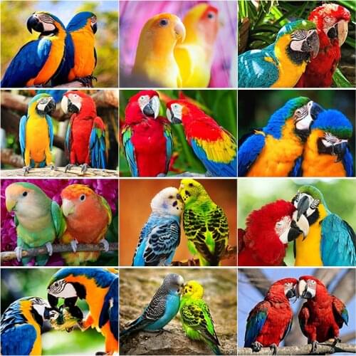 5D DIY Diamond Painting Parrot Diamond Embroidery Animal Cross Stitch Rhinestones Full Square Round Drill Crafts Home Decor Gift