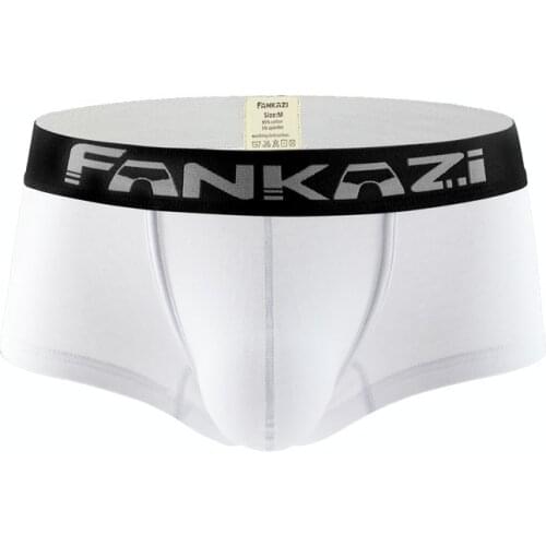 Cotton Boxers Sexy Men Underwear U Pouch Trunk Underpants Low Waist Fashion Boxer Breathable Shorts Underwear