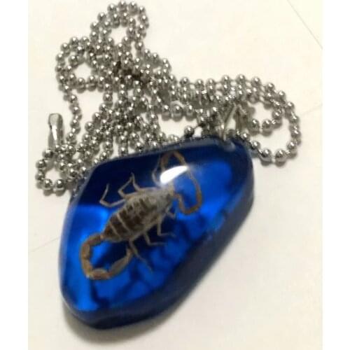 YQTDMY 12 pcs vogue real scorpion king blue back 70 CM stainless steel chain pendant