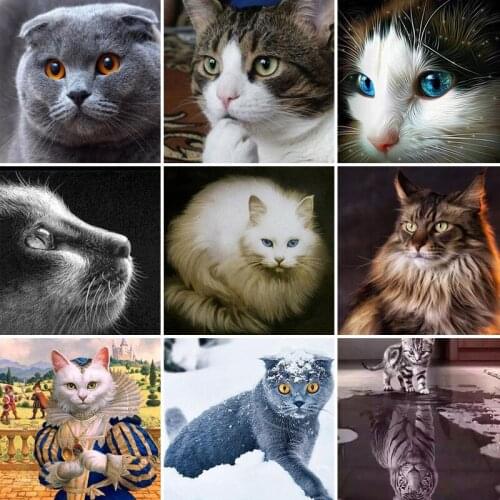 50/55/60Full Square Diamond Painting cat 5D DIY Animal Embroidery Cross Stitch Kit Handmade Gift Wall Stickers Home Decoration