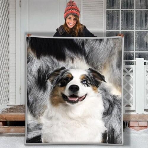 Border Collie Dog Black Brown And White Premium Sherpa Fleece Blanket