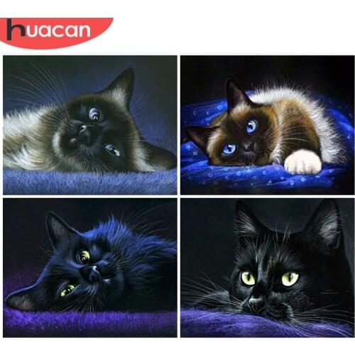 HUACAN Picture By Numbers Cat HandPainted Wall Art Unique Gift DIY Frame Drawing By Number Animal Childrens Room Decor