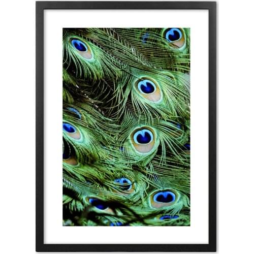 Emerald Feather Photography Nordic Posters And Prints Wall Art Paper Painting Wall Pictures For Living Room Home Decor