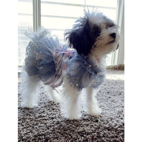 Handmade Dog Clothes Pet Apparel Blue Sequin Phoenix Sexy See-Through Dress Lace Collar Sleeves Cat Poodle Drop Shipping