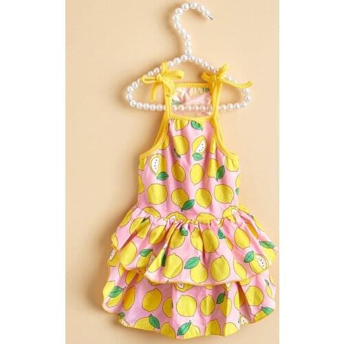 Summer Cute Pet Dog Sling Skirt Fresh Fruit Print Dog Dresses for Small Dog Pet Vest Dress Cat Clothes