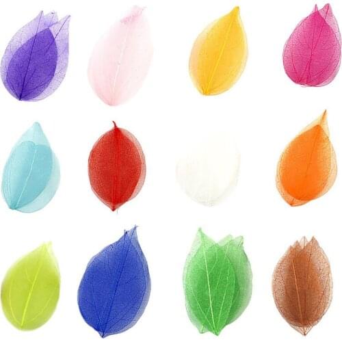 20 Pcs Dried Flowers Embossing DIY Craft Materials Decoration Natural Leaves Epoxy Patchwork Bookmark Jewelry Accessories