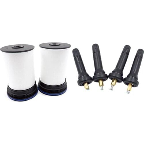 1 Set Type Tire Pressure Sensor Tpms Valve Stem Nozzle For Chevrolet Renault Ford & 1 Set Filtration Fuel Filters