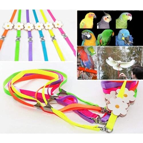 1Pcs Adjustable Bird Harness and Leash Outdoor Flying Training Rope for Macaw African Grey Cockatoo Medium to Large Size