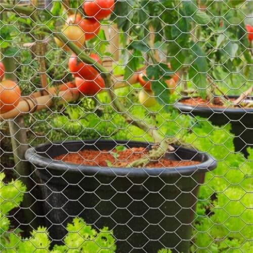 Protective Galvanized Hexagonal Outdoor Garden Plants Yard Home Decor Frame Chicken Fence Lightweight DIY Wire Netting Sturdy
