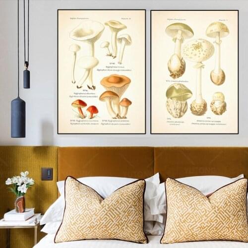 Vintage Mushroom Botanical Posters and Prints Atlas of Edible and Poisonous Mushrooms Plants canvas painting Retro Poster