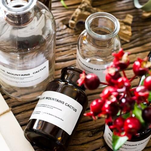 Glass Vase Art Creative Jewelry Plants Sticker Rope Bonsai Decor Transparent Dried Flowers Hydroponic Small Brown вазы декор