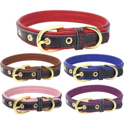 Dog Collars Padded Adjustable Cow Leather Dog Pet Cat Puppy Collar Safety Neck Buckle Strap 8 Colors Silver Gold Metal Buckle