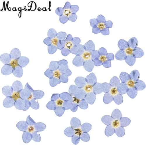 20pcs Artificial Forget-me-not Flowers Simulation Pressed Dried Flowers Embellishments for Art DIY Craft Jewelry Card Making