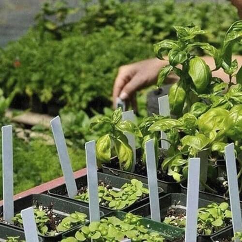 12 Hole Seedling Trays Seed Starter Starter Plant Flower Grow Box Propagation For Gardening Grow Starting Germination Box #25