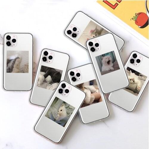 Cute Cat Pattern Transparent Phone Cases for IPhone 12 Mini Pro 7 8 Plus 11 Pro X XS MAX XR Soft TPU Cover Coque Concha Fundas