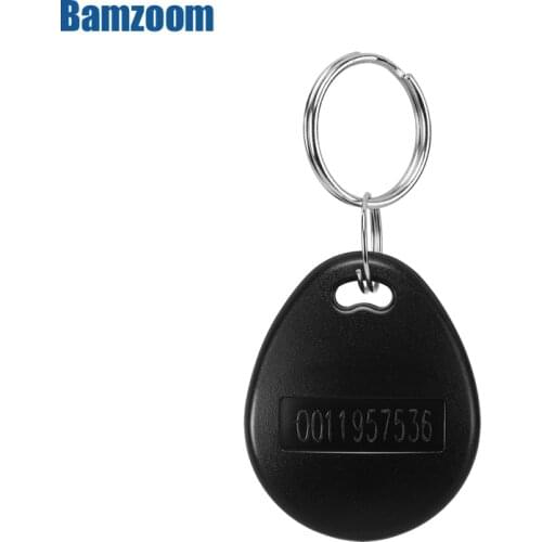 Bamzoom Keychains For Alarms